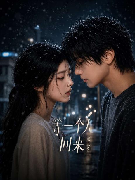 等一个人回来2