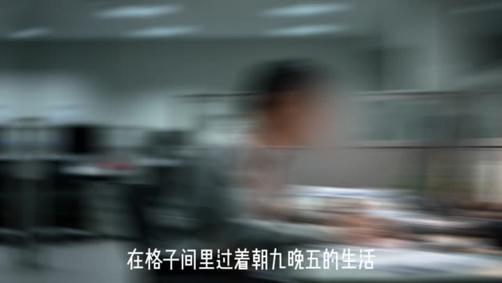 后宫艳照系统