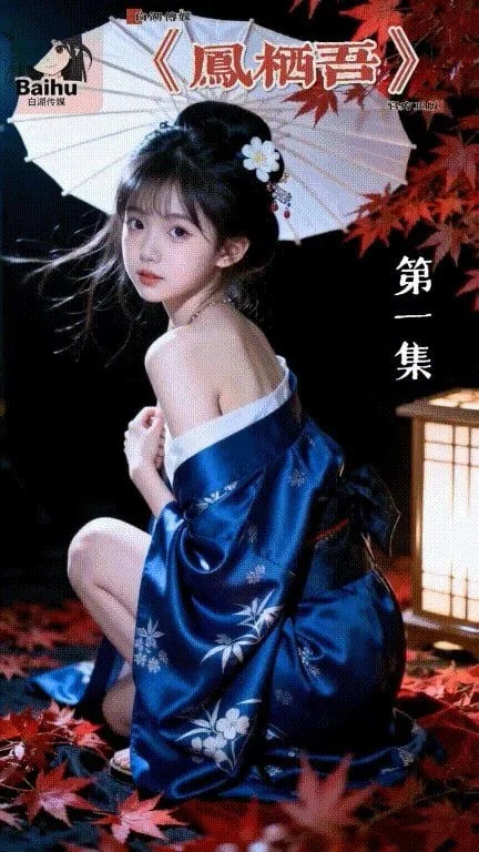 凤栖吾海报